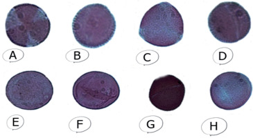 https://www.pjoes.com/f/fulltexts/190619/PolJEnvironStud-2025-34-4-4567-4576_Fig_4_min.jpg