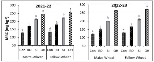 https://www.pjoes.com/f/fulltexts/196050/PolJEnvironStud-2026-35-2-1897-1908_Fig_4_min.jpg